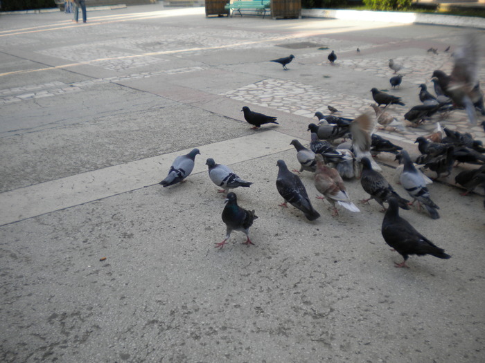 DSCN0097 - 18f Targoviste