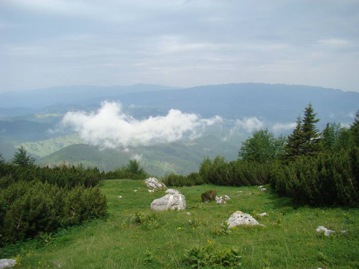 DSC03942 - Concediu 2009