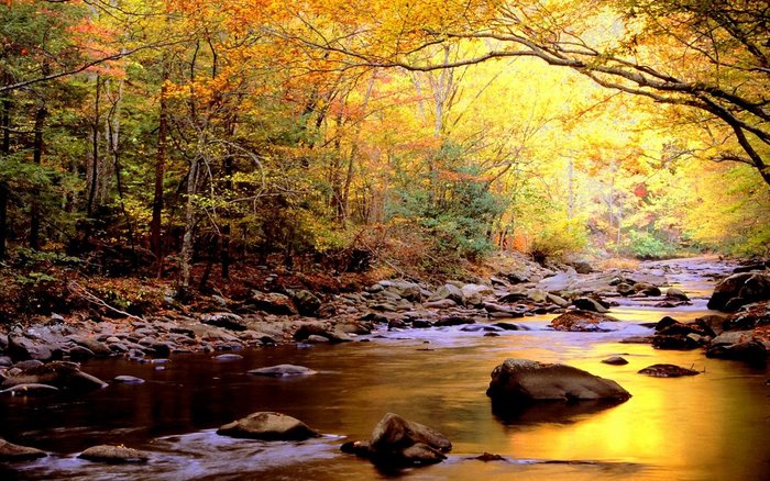 Beautiful-River - 171 - Nature Wallpapers