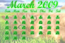 calendarshamrocks - Calendare