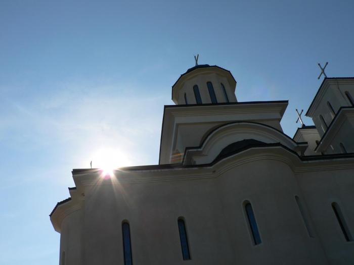 P1030604
