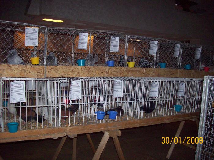 100_3796 - EXPO 2009 SATU MARE