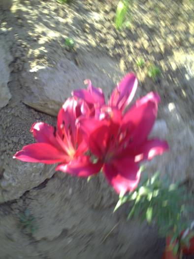 PICT0122