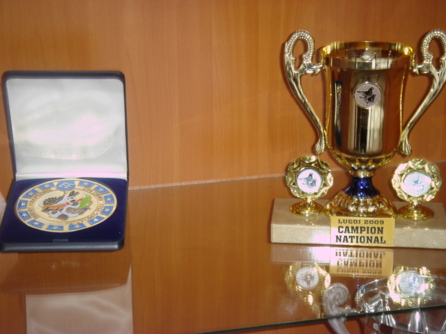 trofee 013 - trofee nationale si internationale cistigate cu blondinetii mei