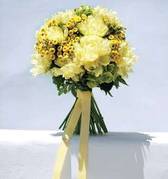 florisdfkdifwuthgtr