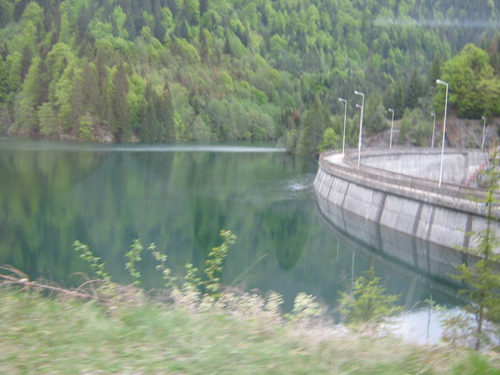 LACUL GALBENU 17.05.2009 201 - VALEA LATORITEI