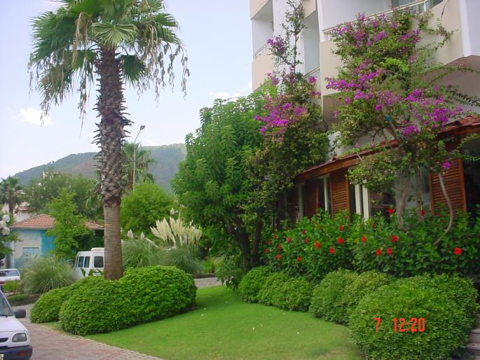 DSC03486
