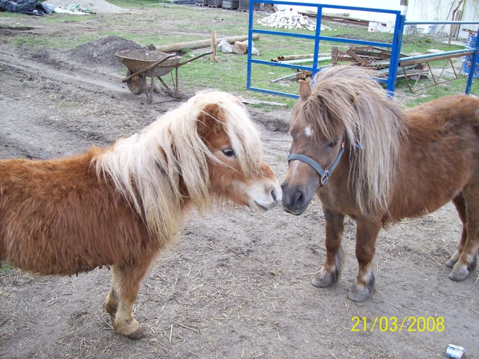 f1732f566d260acf756f09b46fbce890