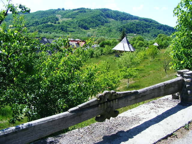 DSCF0796
