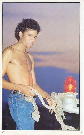 mjtorse[1]