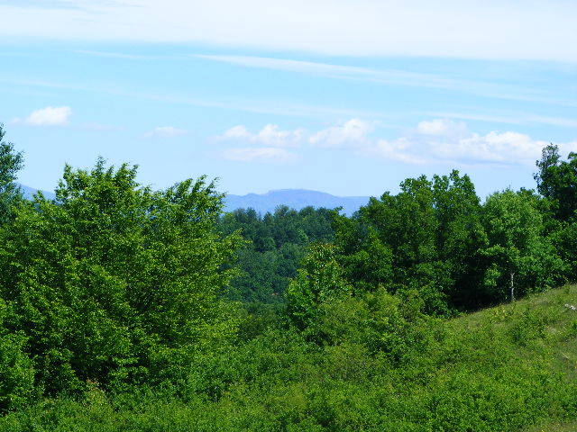 DSCF0525