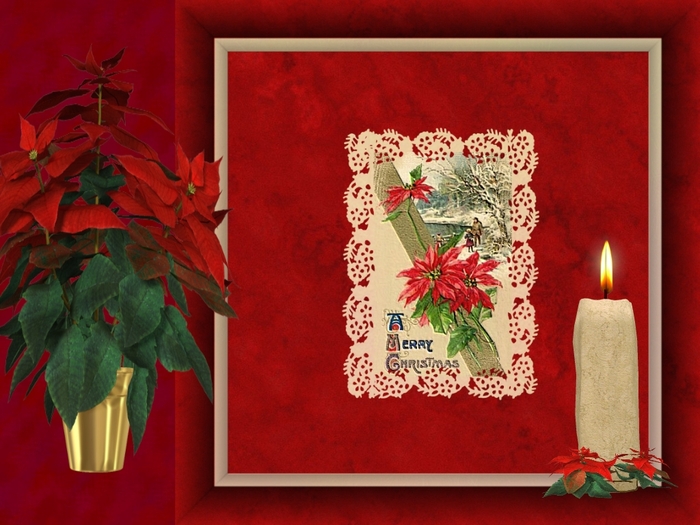 Christmas Wallpapers (418)