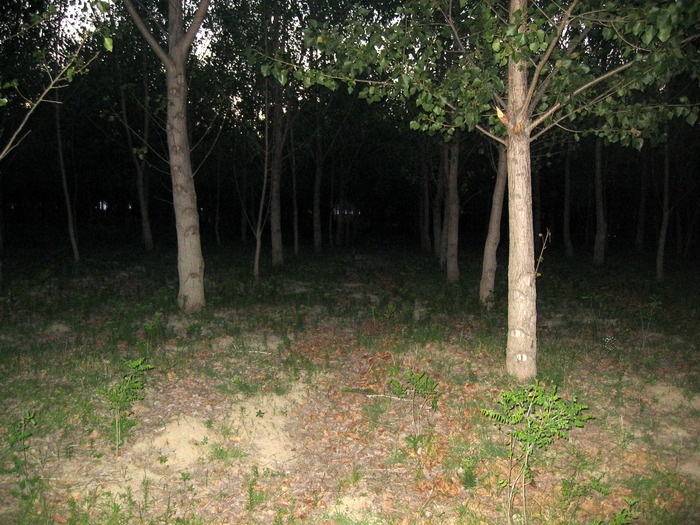 Picture 2 054