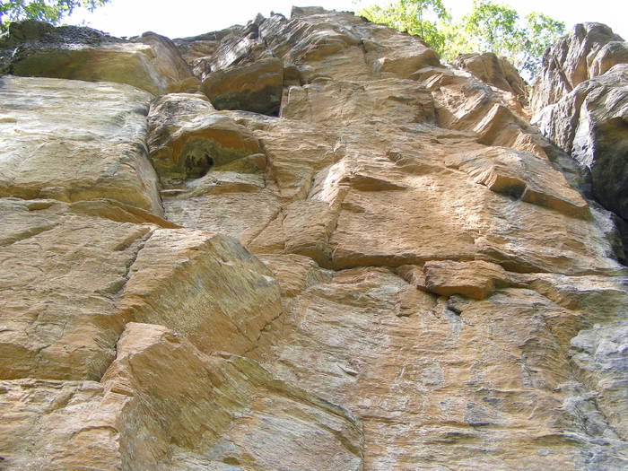 DSCF0378
