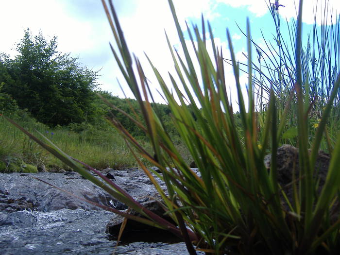 DSCF6101
