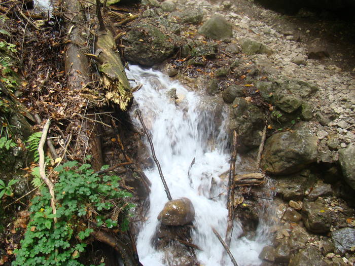 DSC00288 - Piatra Mare Sapte Scari