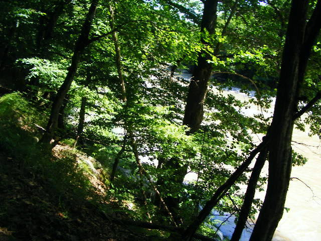 DSCF2453