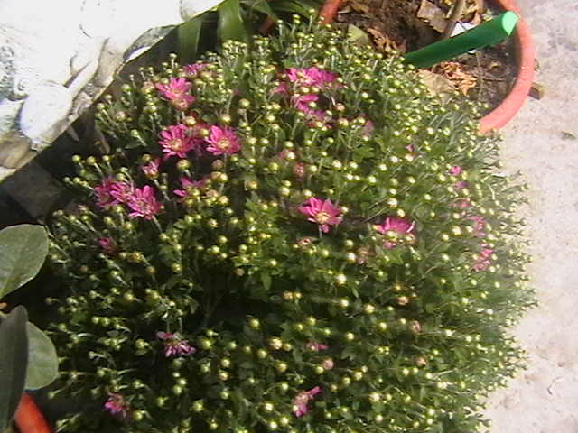 Picture 014