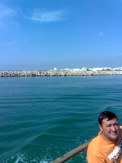 Imagine1269 - ApiMondia