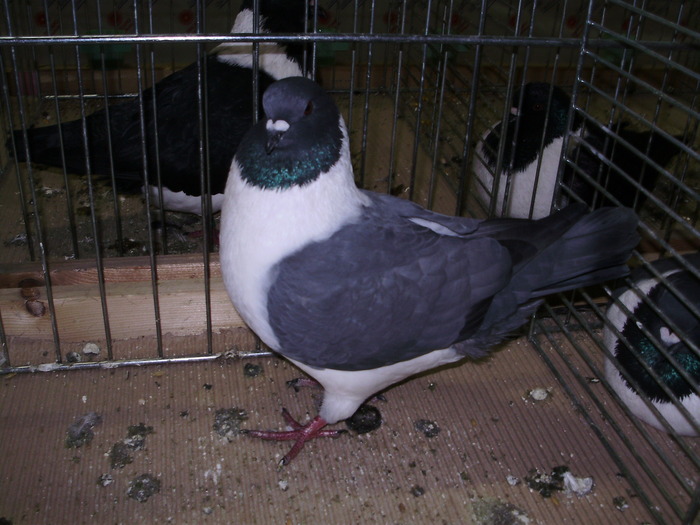 5766 ms 0