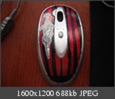 DSCF0118 - mouse