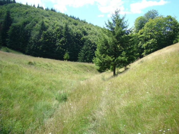 DSC02097 - Concediu 2008