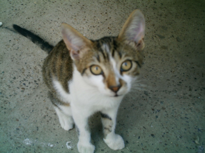IMAG0034