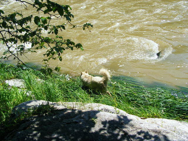 DSCF2457