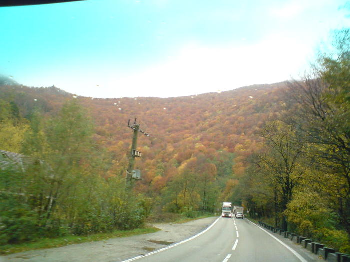 DSC00471 - ROMANIA