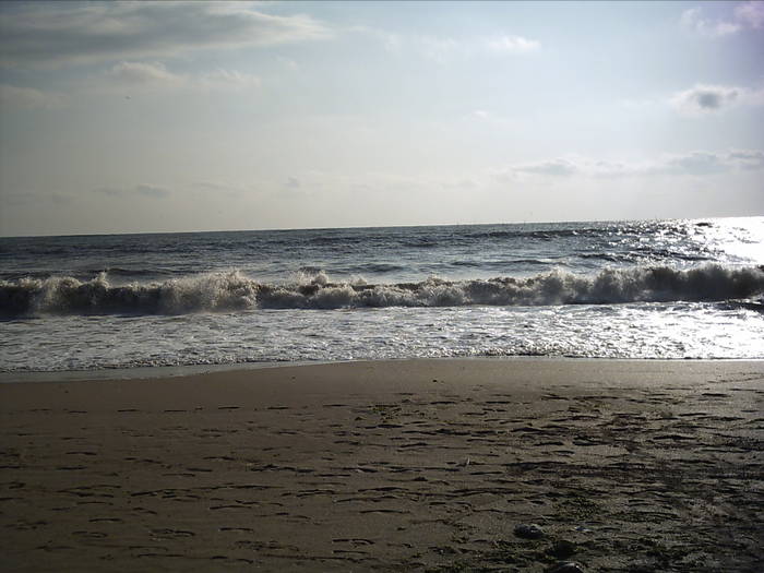 PICT0153