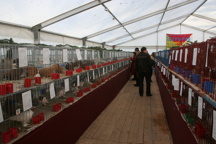 EXPO-PAS Suceava 2009