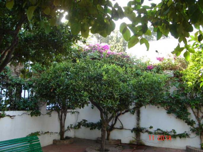 53 Hotel Pueblo Andaluz - Pueblo Andaluz