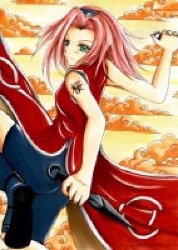 m_1312 - sakura