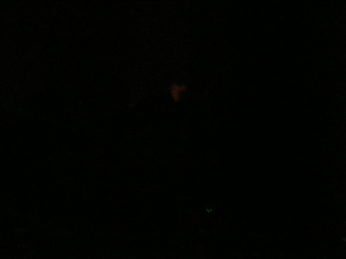 DSCF0027