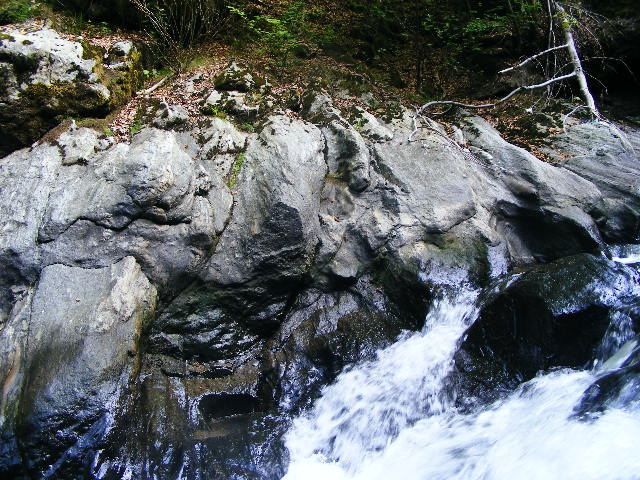 DSCF5161