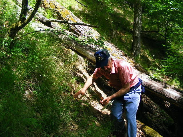 DSCF0567