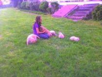 miley cu multi catei - Toate AvAtAreLe mele de pe calculator