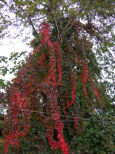 DSC06872 - IMPRESII DIN CALATORII