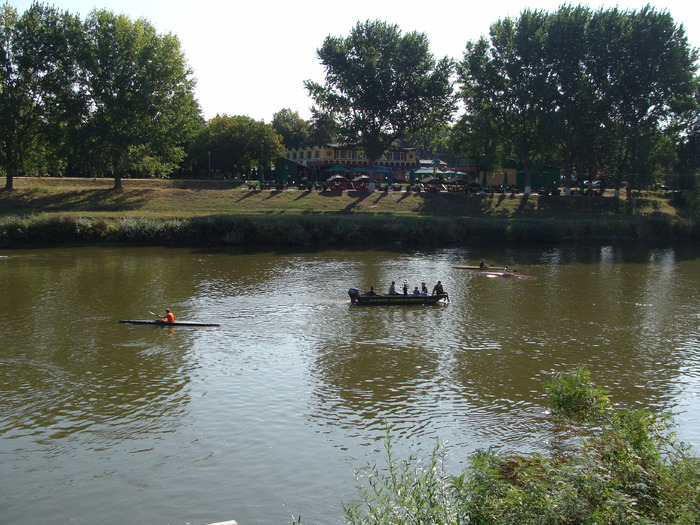 Concursul Cupa Mures 2009 - Cupa Mures 2009 Arad