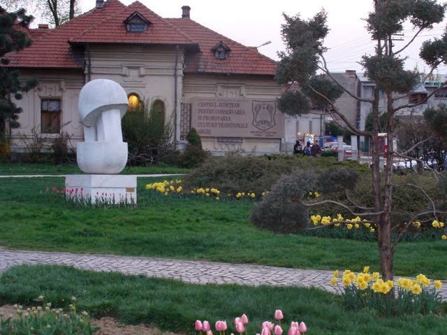 parccufloridinpitesti - Pitesti