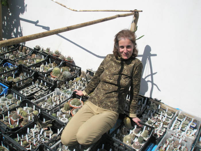 in soare, pe garaj - DIVERSE