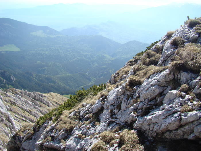 DSC03252 - Piatra Craiului MAI