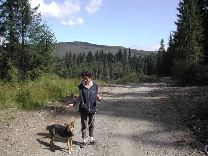 Picture 113 - Firiza