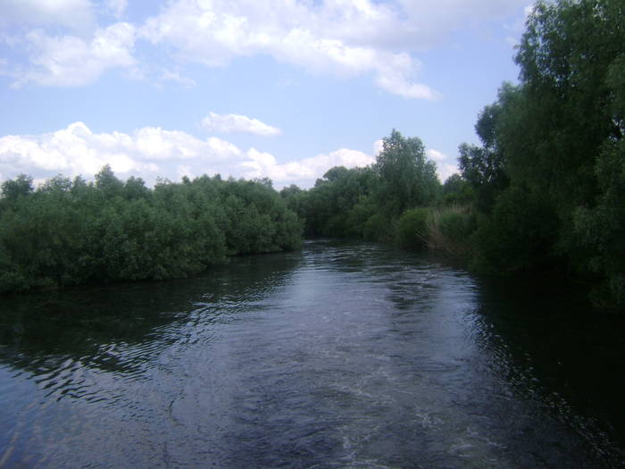 excursie delta dunarii 5062009 145