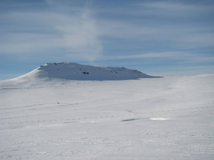 DSC01177 - Bucegi - Valea Izvorul Dorului-Padina