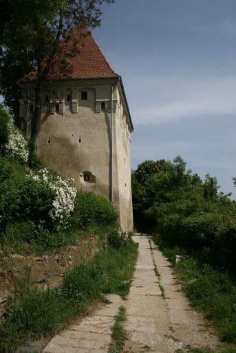  - Sighisoara