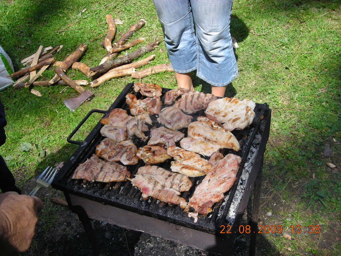 DSCN9330 - Sinaia 23 08 2009