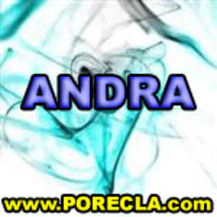 516-ANDRA%20manager - poze de pe porecla