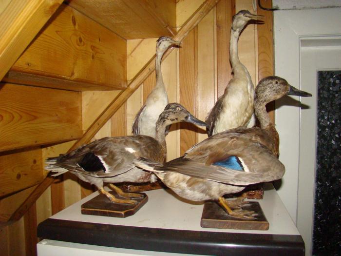 DSC01991 - Concediu 2008