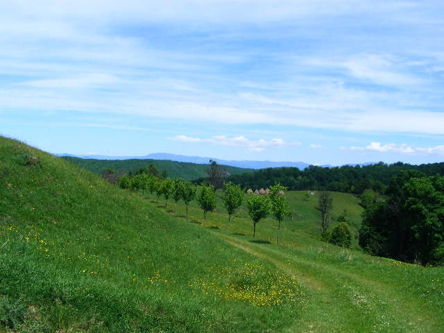 DSCF0539